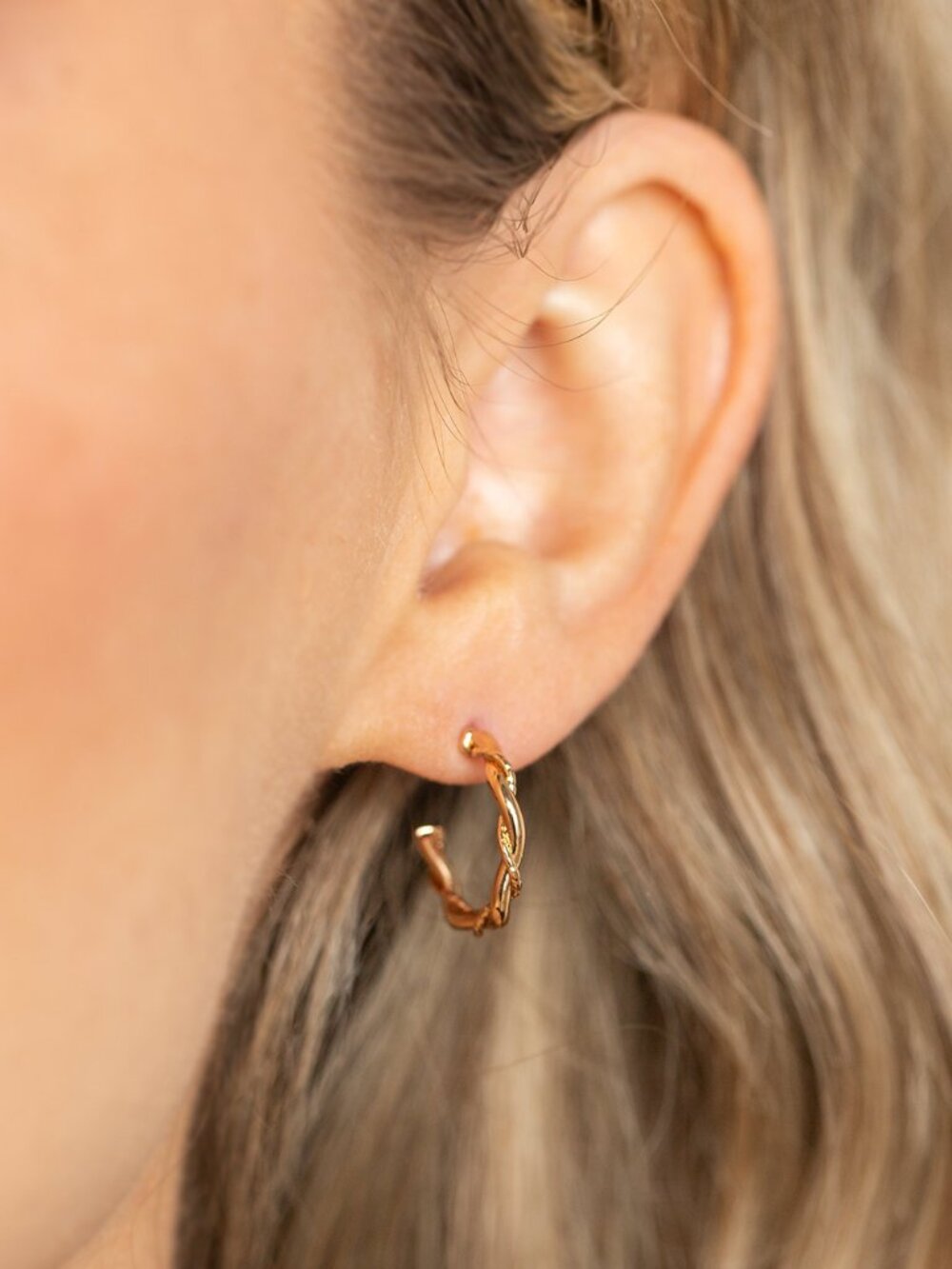 Paparazzi Earrings (EH101)